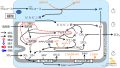 2022年7月1日 (金) 13:30時点における版のサムネイル
