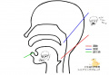2023年2月27日 (月) 15:28時点における版のサムネイル
