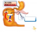 2015年3月12日 (木) 10:14時点における版のサムネイル