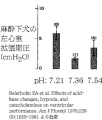 2013年4月3日 (水) 10:24時点における版のサムネイル