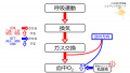 2020年9月21日 (月) 07:48時点における版のサムネイル