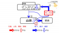 2020年8月6日 (木) 14:42時点における版のサムネイル