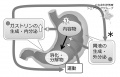 2016年3月14日 (月) 19:17時点における版のサムネイル