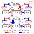 2022年1月4日 (火) 16:35時点における版のサムネイル