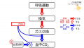 2020年10月23日 (金) 10:38時点における版のサムネイル