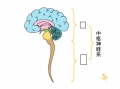 2015年3月25日 (水) 16:12時点における版のサムネイル