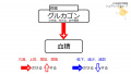 2020年8月6日 (木) 14:13時点における版のサムネイル