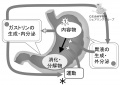 2013年5月23日 (木) 13:38時点における版のサムネイル