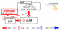2017年3月6日 (月) 00:58時点における版のサムネイル