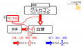 2020年8月6日 (木) 14:17時点における版のサムネイル