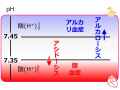 2013年2月27日 (水) 10:25時点における版のサムネイル