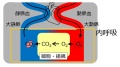 2016年3月18日 (金) 12:51時点における版のサムネイル
