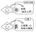 2022年3月7日 (月) 10:43時点における版のサムネイル