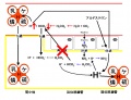 2011年4月7日 (木) 23:12時点における版のサムネイル