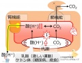 2015年12月11日 (金) 19:05時点における版のサムネイル