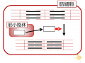 2015年3月17日 (火) 15:31時点における版のサムネイル