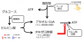 2018年2月16日 (金) 20:38時点における版のサムネイル