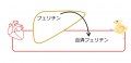 2013年2月27日 (水) 10:25時点における版のサムネイル