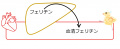 2015年9月2日 (水) 20:56時点における版のサムネイル