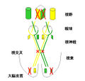 2011年4月7日 (木) 23:14時点における版のサムネイル