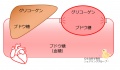 2015年3月20日 (金) 10:47時点における版のサムネイル