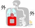 2015年3月31日 (火) 10:13時点における版のサムネイル