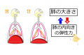 2013年2月27日 (水) 10:18時点における版のサムネイル