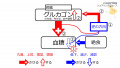 2020年8月6日 (木) 14:28時点における版のサムネイル
