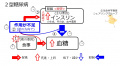 2016年8月26日 (金) 11:44時点における版のサムネイル
