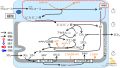 2022年7月1日 (金) 09:41時点における版のサムネイル