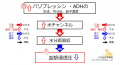 2020年1月9日 (木) 11:14時点における版のサムネイル