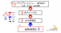 2020年1月9日 (木) 14:11時点における版のサムネイル