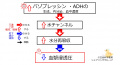 2020年1月9日 (木) 15:04時点における版のサムネイル