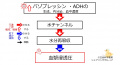 2020年1月10日 (金) 13:20時点における版のサムネイル