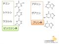 2021年3月17日 (水) 10:23時点における版のサムネイル