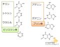 2023年8月3日 (木) 19:55時点における版のサムネイル