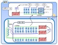 2014年4月3日 (木) 11:29時点における版のサムネイル