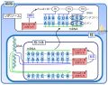 2017年1月13日 (金) 19:46時点における版のサムネイル