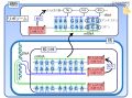 2024年3月5日 (火) 22:46時点における版のサムネイル