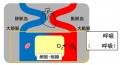 2015年3月11日 (水) 14:24時点における版のサムネイル