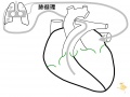 2011年4月8日 (金) 10:11時点における版のサムネイル