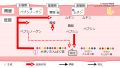 2024年3月5日 (火) 23:34時点における版のサムネイル