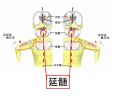 2013年2月27日 (水) 10:21時点における版のサムネイル