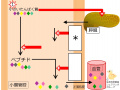 2015年11月15日 (日) 13:24時点における版のサムネイル