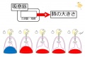 2015年3月25日 (水) 10:31時点における版のサムネイル