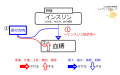 2022年1月11日 (火) 11:39時点における版のサムネイル
