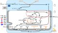 2022年7月1日 (金) 10:19時点における版のサムネイル
