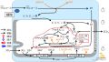 2022年7月1日 (金) 10:34時点における版のサムネイル