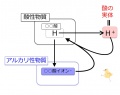 2013年2月27日 (水) 10:23時点における版のサムネイル