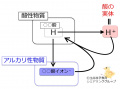 2015年7月7日 (火) 11:55時点における版のサムネイル